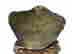 item-130667813=5