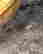 item-130668086=5