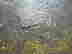 item-130668112=4