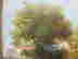 item-130668114=4