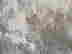 item-130668244=5