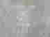 item-130668244=9