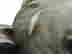 item-130668300=3