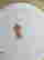 item-130668336=6