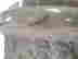 item-131892356=5