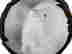 item-131892598=6