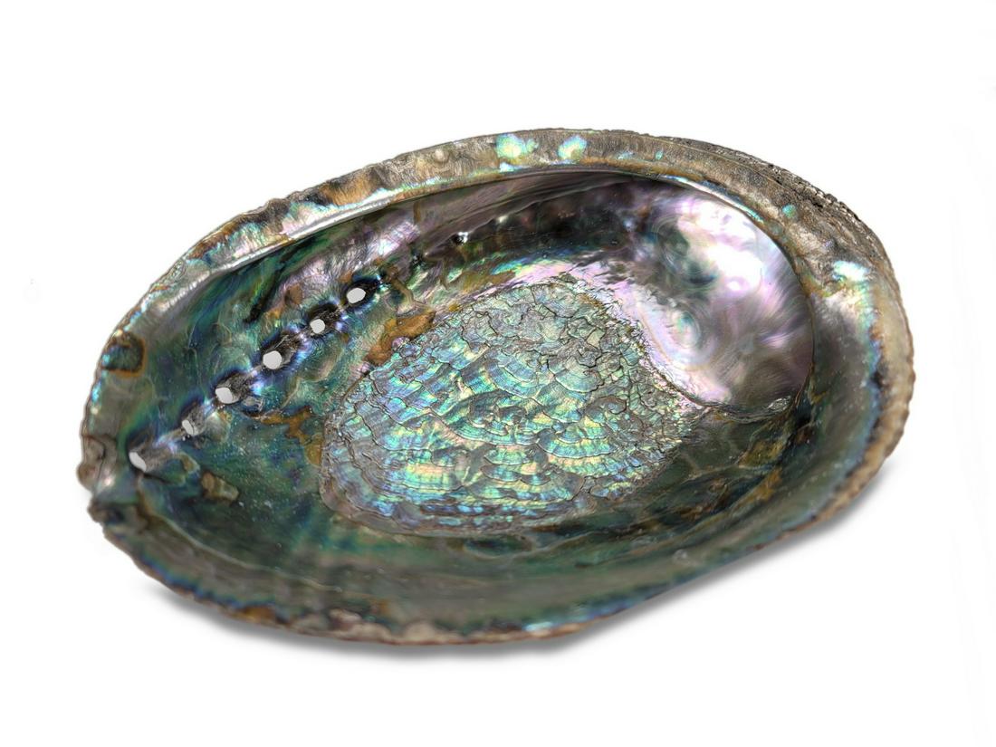 Vintage Abalone shell (1 of 3)
