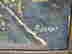 item-131892731=3
