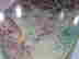 item-131892993=5