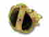 item-131893079=6
