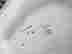 item-131893165=7