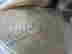 item-131893218=8