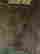 item-134060611=6