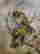 item-134060627=5