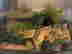 item-134060737=2