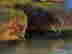 item-134060737=3