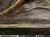 item-134060936=6