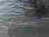 item-134060959=5