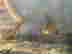 item-134060970=6