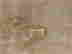 item-134060970=9