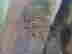 item-134061011=3