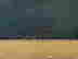 item-134061041=4