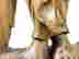 item-134061055=6