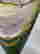 item-134061071=5