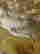 item-136460961=13