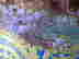 item-136461018=10