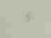 item-136461441=12