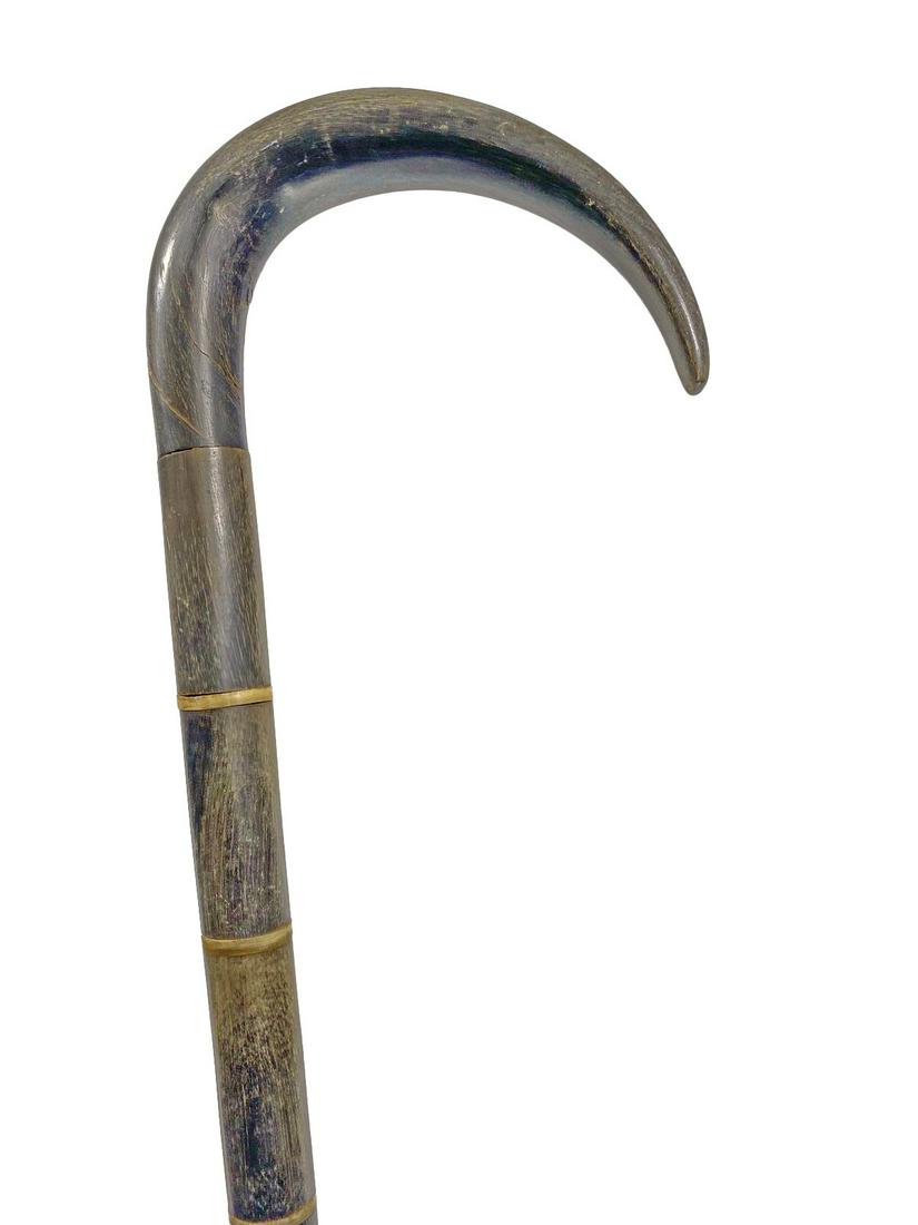 Vintage Horn Walking Stick (1 of 5)