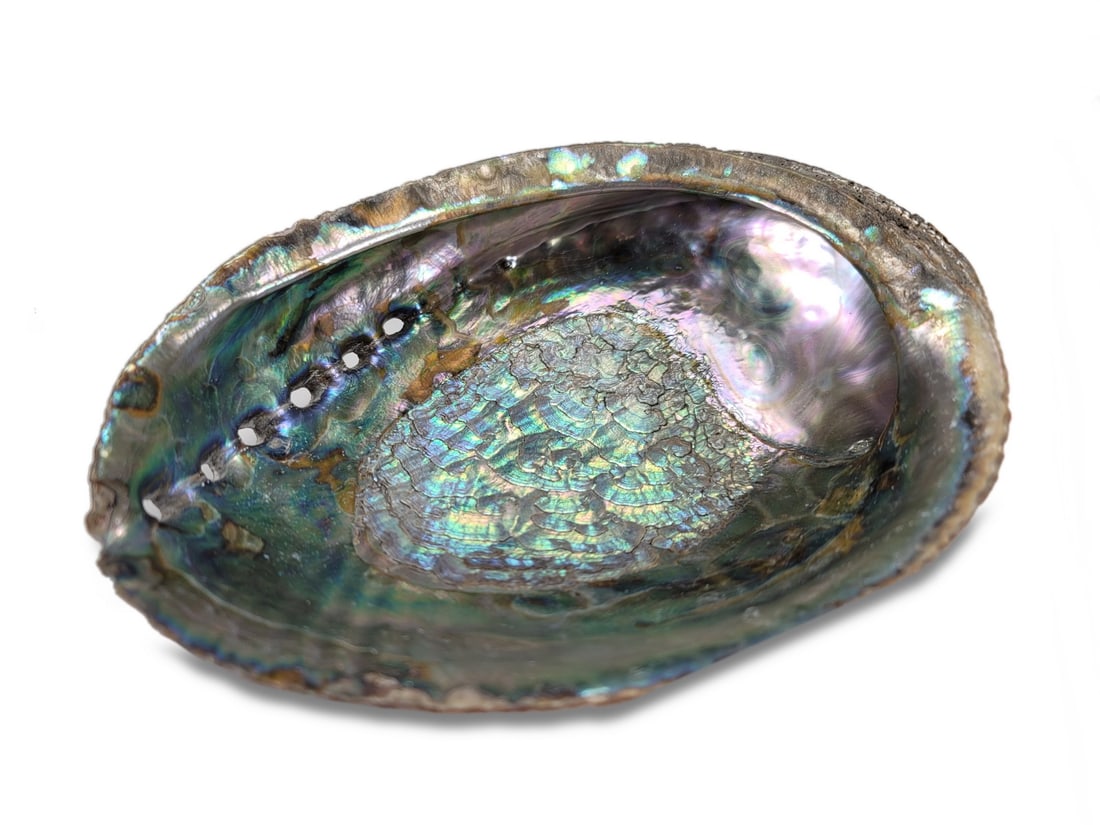 Vintage Abalone Shell (1 of 3)