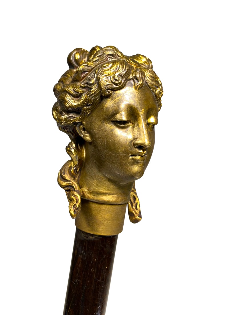 Antique French Bronze Lady Head Walking Stick (1 of 4)
