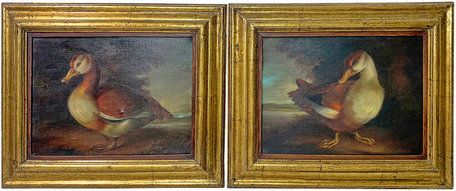 Antique European Pair of Oil on Canvas Ducks Painting, signed (1 of 7)