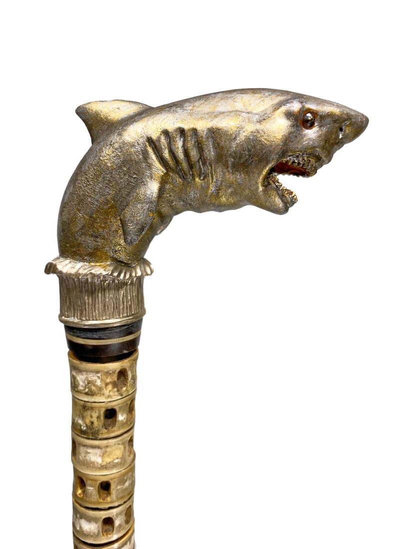 Vintage Shark Vertebrae & Head Walking Stick (1 of 5)