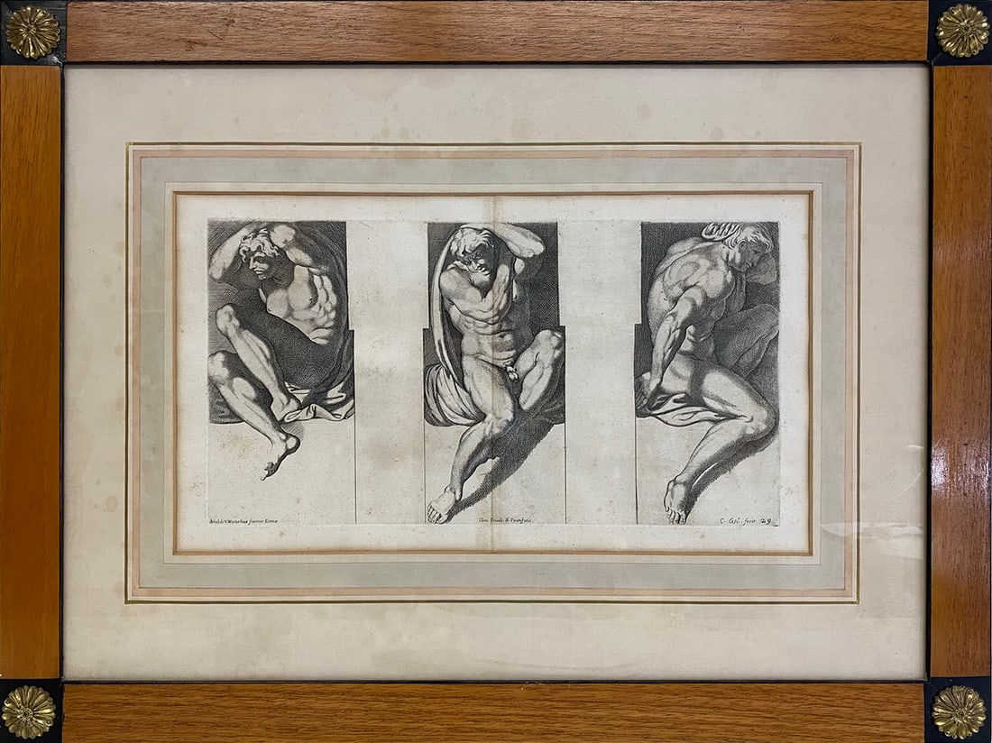 Arnold VAN WESTERHOUT (1651-1725) Engraving (1 of 8)