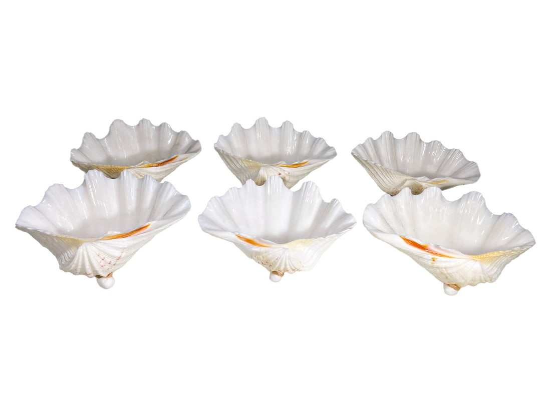 Set of 6 Sea Shell Caviar or Sauce Bowls: Set of 6 Sea Shell Caviar or Sauce Bowls. 2 5/8 x 8 x 5 5/8 in.Local Pick up call one day before to make an appointment. TO SHIP THIS ITEM IN USA OR INTERNATIONAL, PLEASE CONTACT THE SHIPPERS : 1) UPS