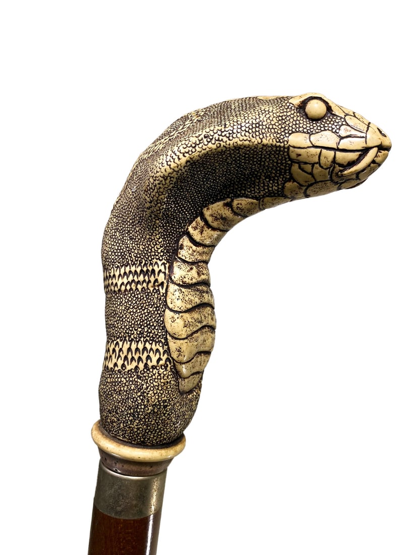 Vintage Snake Head Composition & Wood Walking Stick (1 of 6)