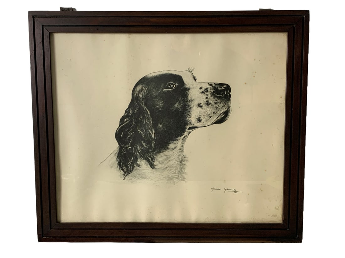 Vintage Springer Spaniel Offset Print (1 of 5)