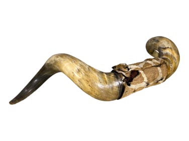 Vintage Bull Horns with Wood & Skin