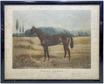 Punta Gorda Horse by E. Thelem French Print