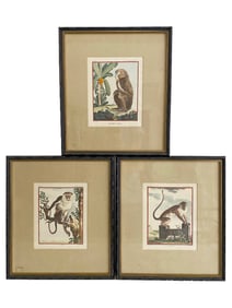 3 Vintage French Monkeys Prints