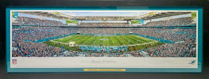 Miami Dolphins Game on the Hard Rock Stadium Poster