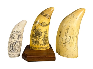 3 PMS Artek Replica Whales Tooth