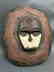 Kwele Shield - 2