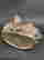 item-74095815=8