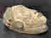item-126805213=4