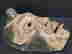 item-126958622=4