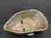 item-128400026=4